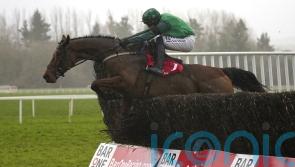 El Fabiolo and Gaelic Warrior among Mullins Sandown entries