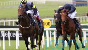 O’Brien Epsom raider has Rock-solid form credentials
