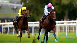 ‘Talented’ Nostrum makes Mile return at Sandown