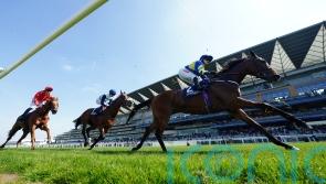Trueshan all set for ‘tough’ Sagaro return