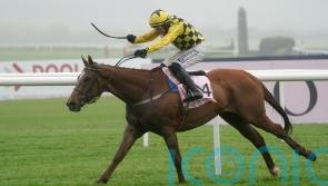 State Man seals perfect season with Punchestown glory