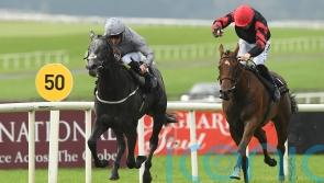 Burke confident Fallen Angel will stay Guineas trip