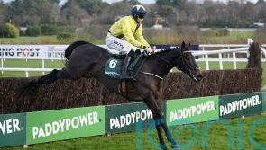 Marine Nationale may return on the Flat before jumping comeback