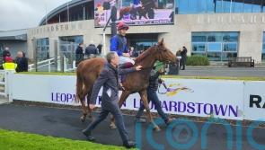 Joseph O’Brien believes Galileo Dame can answer Cheshire Oaks question