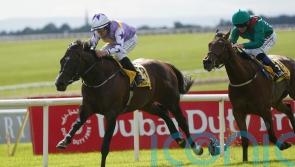 Bold Discovery sparkles in Amethyst win