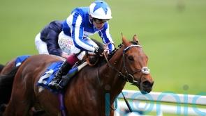 Bellum Justum carrying King Power hopes in the Derby
