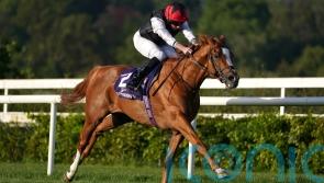 O’Brien all set to unleash staying big guns on Friday