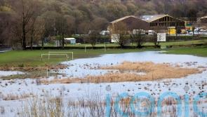 Sport bodies ‘will need climate action plan in place to receive public funding’