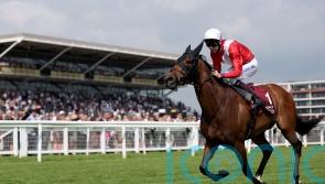 Audience leaves Lockinge onlookers in disbelief