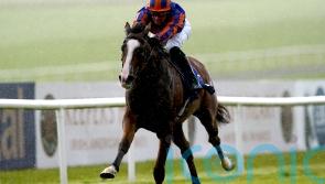 Opera Singer in line for Irish Guineas return