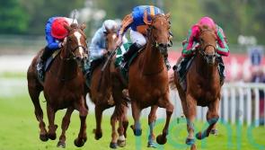 Kimpton Down Oaks squad strong on quality and quantity