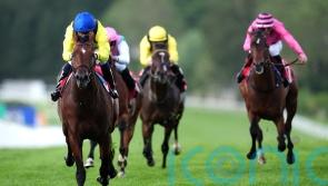 Promising Almaqam makes an impression in Heron Stakes