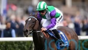 Fellowes expecting bold Temple bid from Vadream