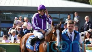 Diego Velazquez to spearhead O’Brien’s Chantilly challenge