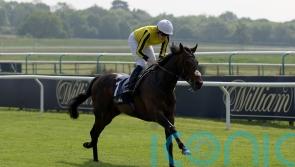 Fanshawe confident Ambiente Friendly can keep his Derby cool