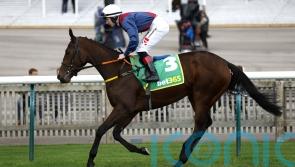 Meade mulling next move with Caught U Looking