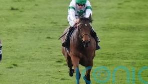 Menuisier not looking too far ahead with Chantilly-bound Tamfana