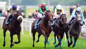 Mill Stream part of confirmations for Saturday feature
