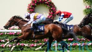 Distance runner gets up late for thrilling King George V win