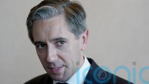 Taoiseach praises woman assaulted by soldier for ‘speaking out’