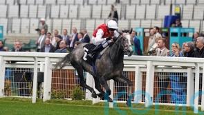 Cox keen on Inisherin rematch with Jasour