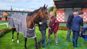 Lake Victoria adds to Ballydoyle juvenile riches at the Curragh