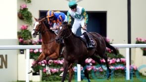 Porta Fortuna ‘in great form’ and set for Falmouth tilt