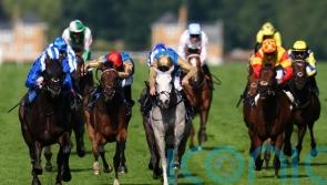 Haunted Dream targets John Smith’s Cup glory
