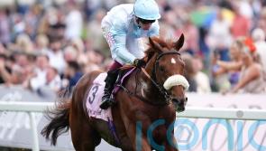 Botti eyes Irish mission for Giavellotto after Newmarket test