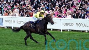 Inisherin heads 12 chasing July Cup crown