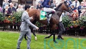Involvement relishes step up in trip with Newmarket triumph