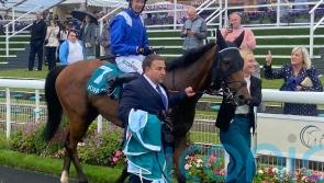 Enfjaar just too good for John Smith’s Cup rivals