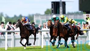 Auguste Rodin heads 11 confirmations for King George