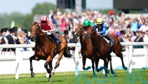 ‘He’s ready to go’ – Goliath taking on King George giants