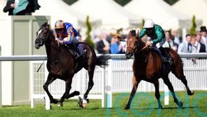Zarakem has sights set on York before Prix de l’Arc de Triomphe bid