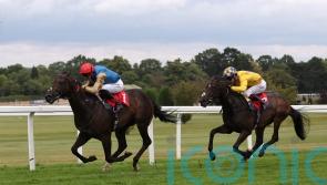 Aesterius rated quick enough for Molecomb dash