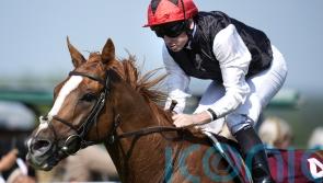 Comeback king Kyprios hailed as ‘so genuine’ by O’Brien