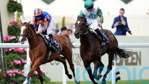 O’Brien keen to see how Opera Singer handles 10 furlongs