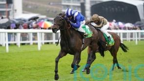 Al Aasy to renew rivalry with Phantom Flight in Glorious Stakes
