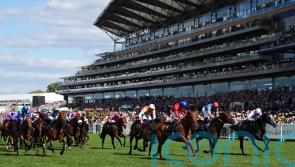 Dark Trooper searching for Wokingham compensation in Stewards’ Cup