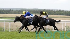 Hott Shott and Spell Master cannot be split at Goodwood