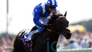 Alflaila pointing towards Juddmonte challenge