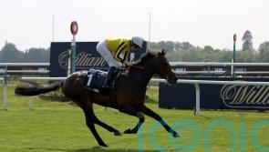 ‘Everyone is so happy with him’ – Ambiente Friendly team counting down to York