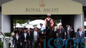 Australian legend Black Caviar dies from hoof condition