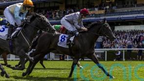 Simmering proves far too smart for Deauville rivals