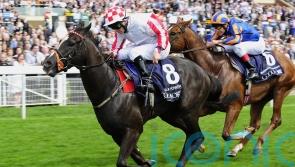 Lynam looks back fondly on ‘great days’ with Nunthorpe hero Sole Power