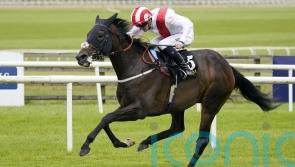 Tate tempted by Blandford target for Royal Dress
