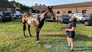 Asfoora’s faithful groom dreaming of more UK glory