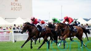 Bradsell can make his mark in Nunthorpe, says Hollie Doyle