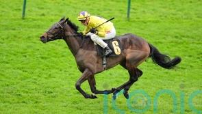 Galtres gold in Sea’s sights at York